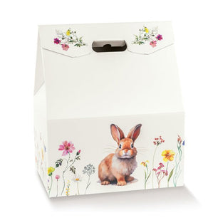 BAULOTTO NEW - M3 packaging store